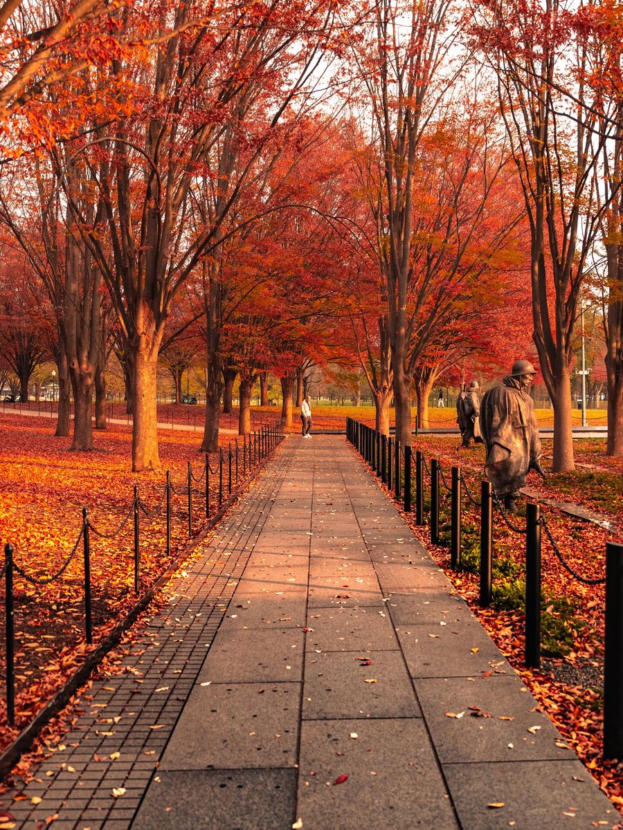 washingtondc's tweet photo. Hello, fall. 🍂🤎

🔗 Find things to do in DC this fall: https://t.co/MRZchCuH97

📸: theterencechau, edgardavisp, districtinfocus, pharipedia / IG #Only1DC #FallinDC https://t.co/aY3Lbmw23F