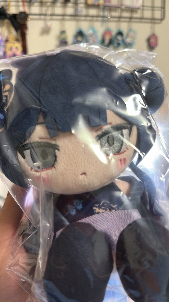 TOKIver2's tweet photo. 今日ちょうど門主様のぬいぐるみも届いたし、めっちゃ運がいい！ https://t.co/2XAwuTtb8a
