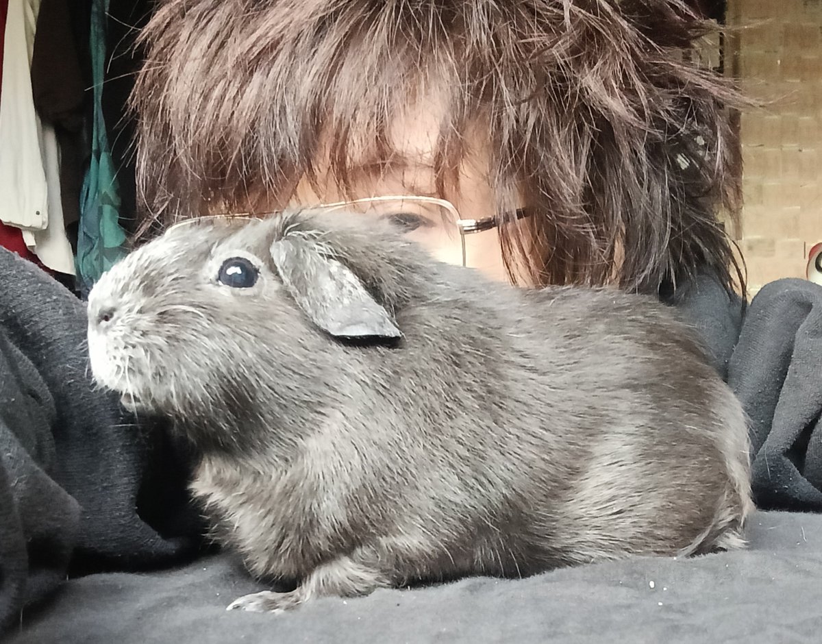 Viagraoftheroof's tweet photo. Selfie with baby!!! Im hiding behing her isnt she cute https://t.co/pLAYhAaoeq