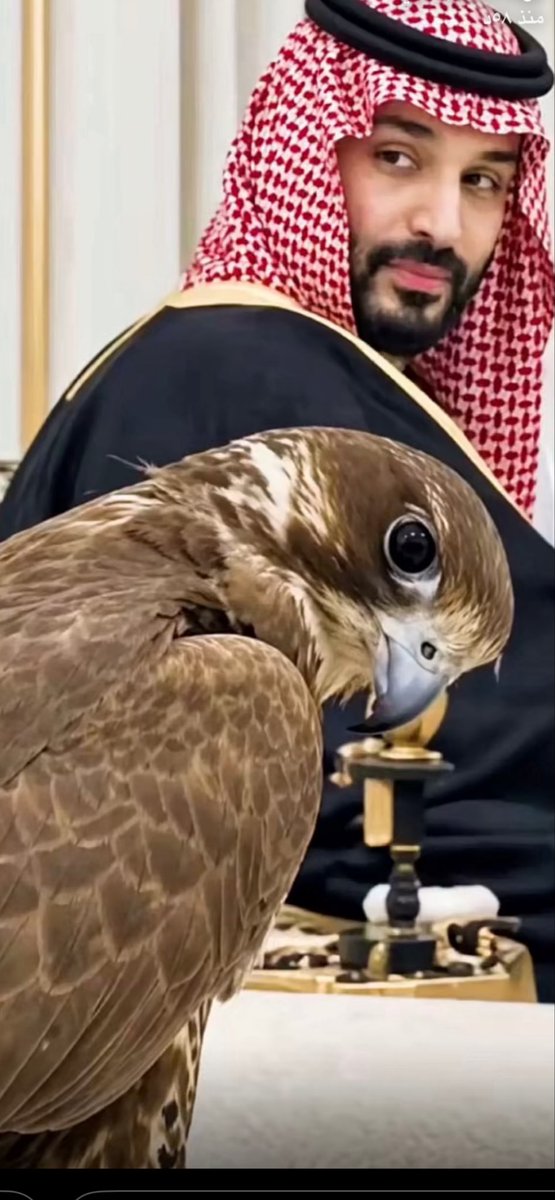 bmut16's tweet photo. 🤲🏻🤲🏻🇸🇦♥️🇸🇦♥️🇸🇦♥️🇸🇦♥️🇸🇦♥️🇸🇦♥️🤲🏻🤲🏻 https://t.co/CXxlvlWQPn