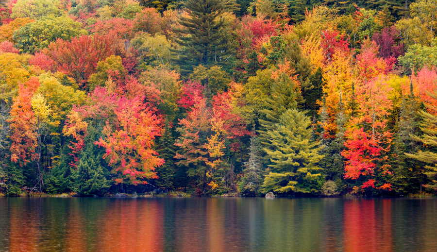 FearedBuck's tweet photo. Today is officially the first day of fall 🍂 https://t.co/6QOXNbz81Q