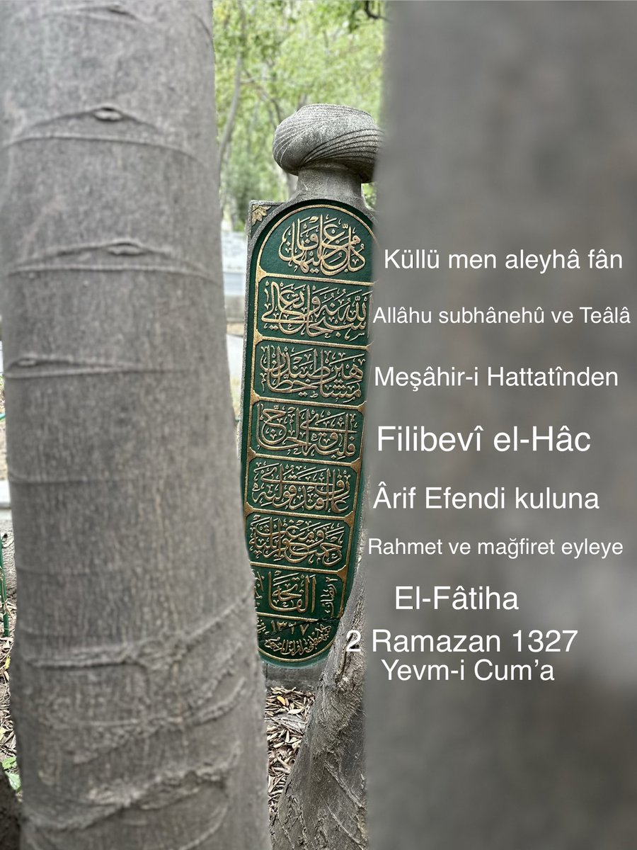 istanbulkitabe's tweet photo. Hem bakkal, hem hattat: Hacı Ârif Efendi..
Hat sanatının büyük üstadı, bugün kabrini saran 7 koca ağacın gölgesinde yatıyor.Sayılarla işaretlenmiş her bir gövde, sanki onun ellerinden çıkmış birer elif gibi göğe yükseliyor.Mekânı cennet, makamı âli olsun.🖋️

📍Necatibey Mezarlığı https://t.co/YTzxVRrjt9