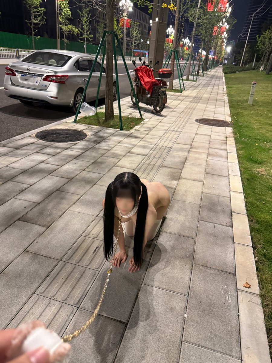 NaNa0882's tweet photo. 又出门遛狗了
@luchu888 
@luchu777 https://t.co/pHt8zQebSs