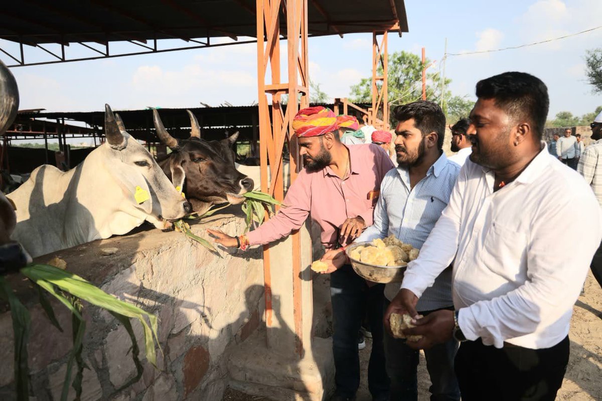 BJP4Rajasthan's tweet photo. ‘सेवा संकल्प अभियान’ के तहत आयोजित वडनगर से वाराणसी सेवा संकल्प बाइक यात्रा में सेवा यात्रियों द्वारा बालोतरा स्थित अन्नपूर्णा गोशाला सेवा समिति में गौसेवा की गई।

इस अवसर पर गौमाता को गुड़ एवं चारा खिलाकर सेवा, संवेदना और करुणा का संदेश दिया गया।

इस दौरान युवा मोर्चा प्रदेश सह कार्यालय मंत्री श्री आशीष शर्मा, श्री कृष्ण बोराना सहित युवा मोर्चा के कार्यकर्ता एवं सेवा यात्री उपस्थित रहे।

#SevaYatra
#SevaSankapAbhiyaan