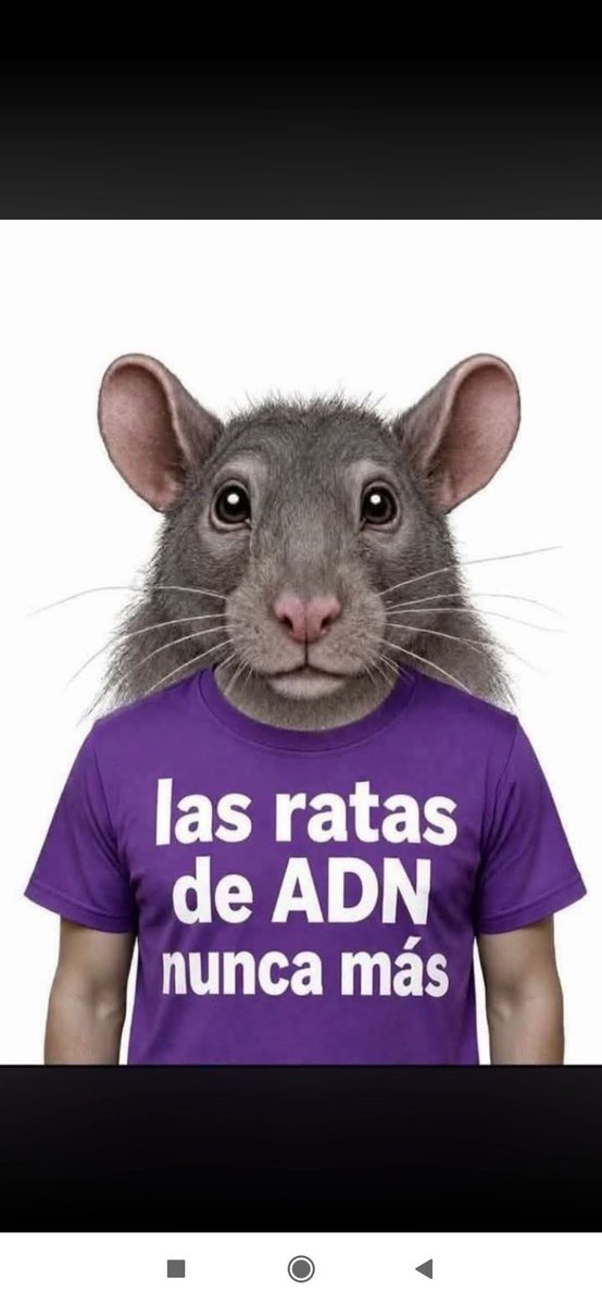 SGranizo's tweet photo. @MALFRED410732 @Lalizen_Ziada @RC5Oficial https://t.co/nu5RVfGN1F