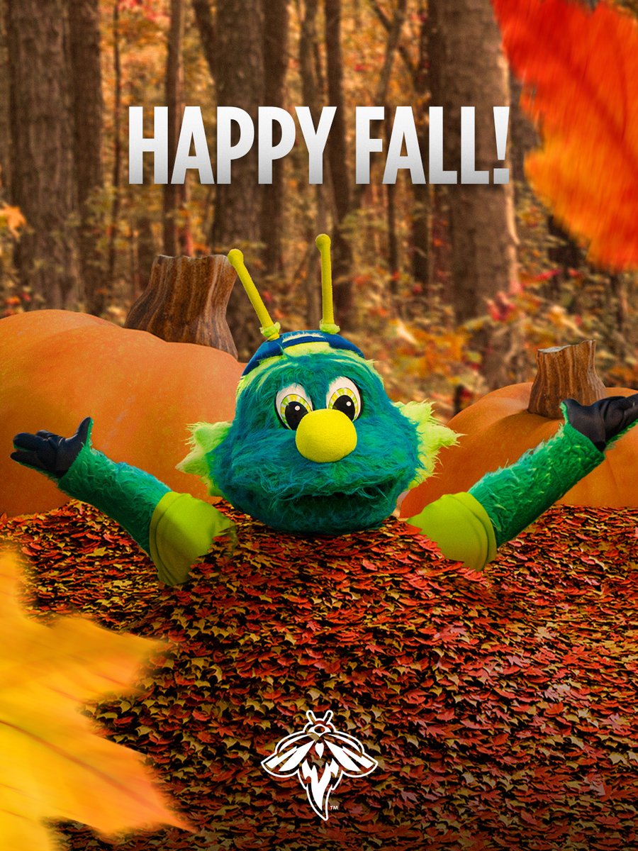 ColaFireflies's tweet photo. Happy First Day of Fall, Fireflies Fans! 

It's time for pumpkin spice, cooler temps, and all things cozy 🍁🥧☕️

#FirstDayofFall #Autumn #LetsGlow https://t.co/mwyXgvdvYu