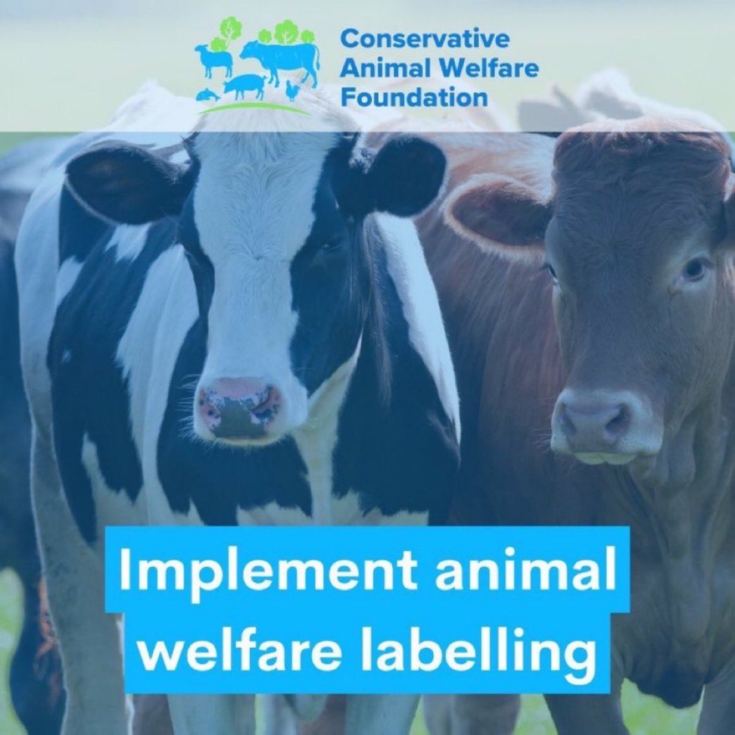 ConservativeAWF's tweet photo. Mandatory animal welfare labelling helps consumers make informed choices about how animals are reared. The success of egg labelling has shown that clear information can encourage shoppers to choose free-range eggs over those from caged hens. We call for mandatory animal welfare labelling