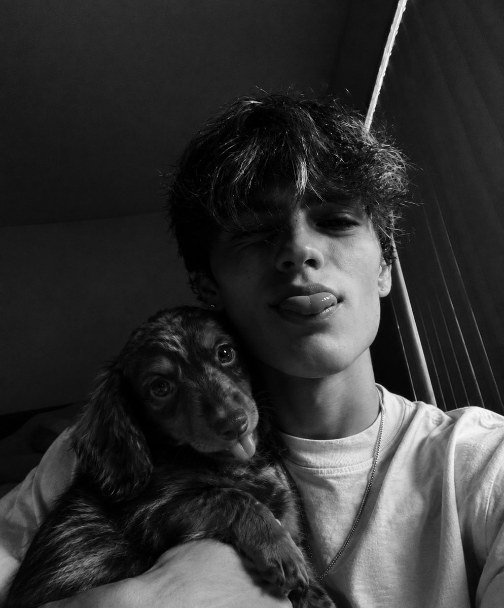 cstlvourt's tweet photo. Good morning, I adodted a doguinho. 🐾🤎 https://t.co/84DrIVIBmz