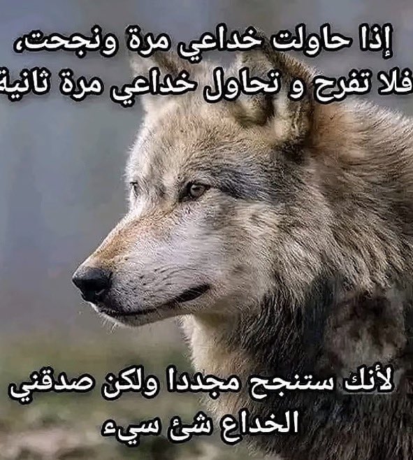 Bmlio9's tweet photo. انا https://t.co/8Ad8zXd2Au