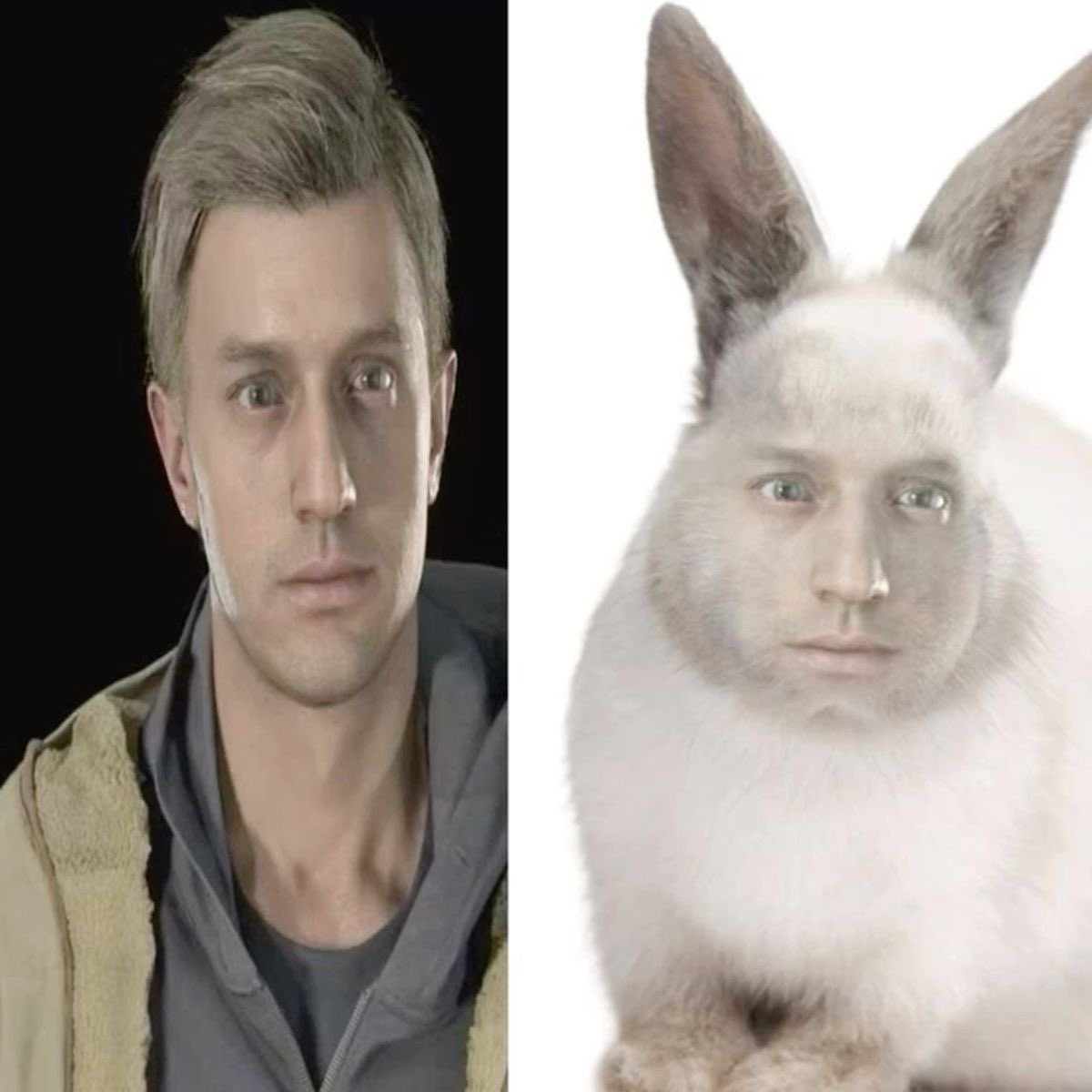 EthanWinters529's tweet photo. Can we stop putting my face on different animals, PLEASE https://t.co/0uQv61O9T4