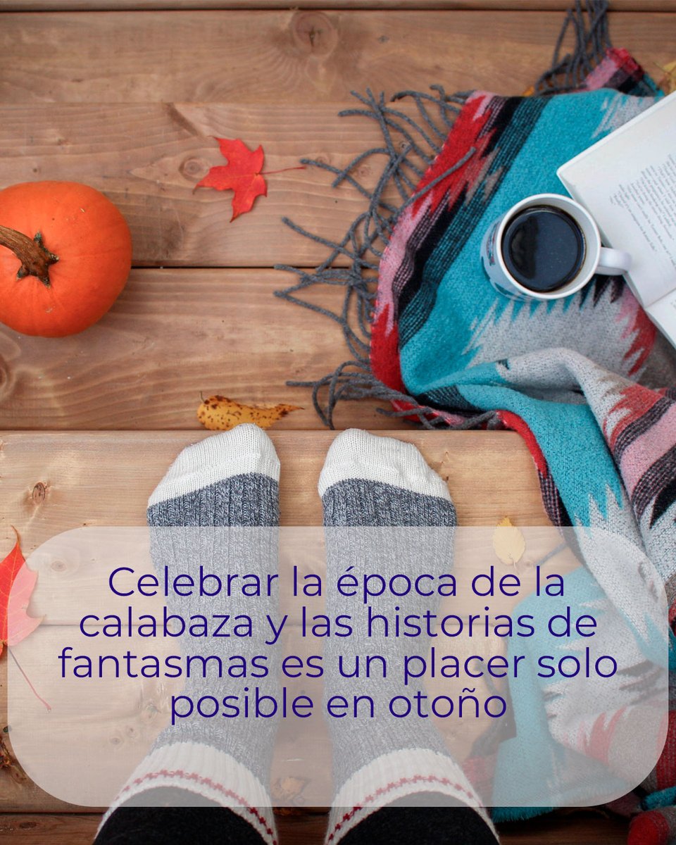 Preventiva_Seg's tweet photo. 🍂 Hay pequeños placeres que casi habíamos olvidado: volver a llevar una chaqueta “por si acaso”, preparar algo calentito, pasear sin buscar constantemente la sombra o pasar una tarde de sofá. ¿Qué pequeño placer del otoño estabas deseando recuperar? 💙 #MomentosExpertosEnVivir https://t.co/xyV9LJXHfN