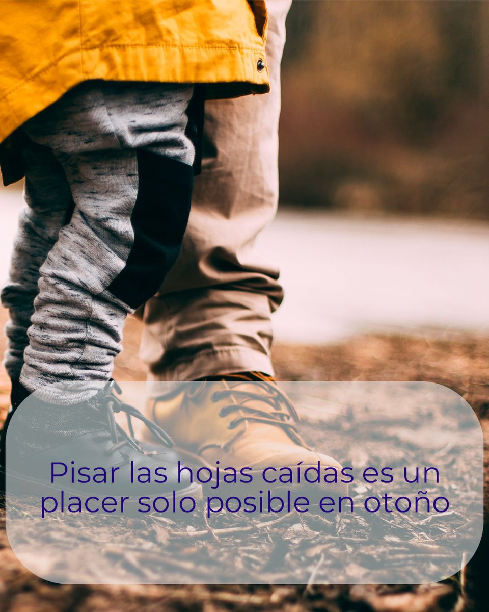 Preventiva_Seg's tweet photo. 🍂 Hay pequeños placeres que casi habíamos olvidado: volver a llevar una chaqueta “por si acaso”, preparar algo calentito, pasear sin buscar constantemente la sombra o pasar una tarde de sofá. ¿Qué pequeño placer del otoño estabas deseando recuperar? 💙 #MomentosExpertosEnVivir https://t.co/xyV9LJXHfN