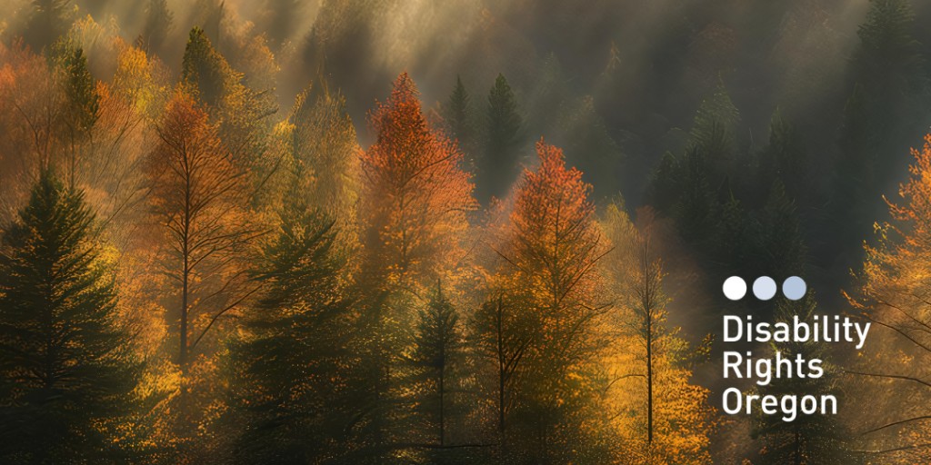 DisabilityRtsOR's tweet photo. 🍂 Happy first day of fall, Oregon!

Today's autumn equinox brings nearly equal day and night. Equal access and equal rights are what we work toward every season.

Wishing you a cozy, accessible autumn. ❤️

#FirstDayOfFall #FallEquinox #DisabilityRights #Oregon https://t.co/qXyct8BflP