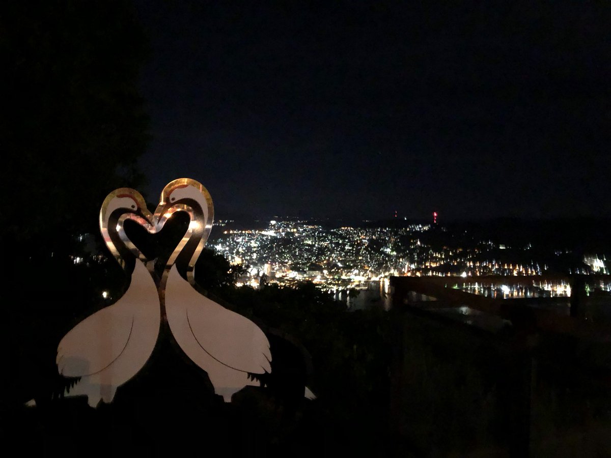 lazy_fox52's tweet photo. @iori_snap 100万ドルの夜景ですね https://t.co/vJ1LMGfP58