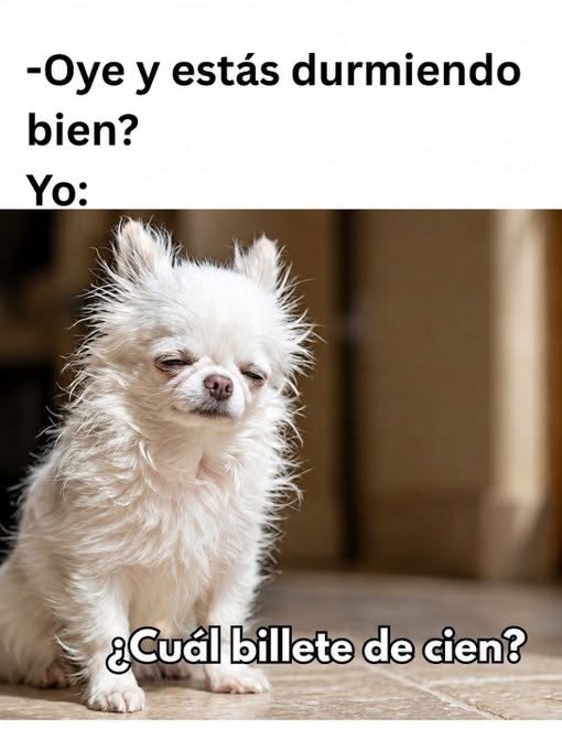 VicentteRosero's tweet photo. https://t.co/tJI7vbVNYq