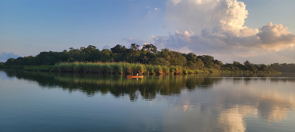 PinkysKayak's tweet photo. Did you know kayaking is a secret #superpower for your health? 🛶✨
💪 Low-impact whole-body strength (core, back &amp; shoulders)
❤️ Heart-pumping cardio without the joint stress
��� Proven mental reset from being near "blue space" water
Grab a paddle and feel the benefits!  #Health https://t.co/MPyYP8vKtI