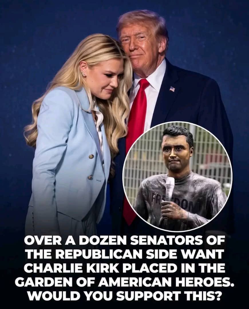 TruthLinesNews's tweet photo. Would you support this? https://t.co/c2AoqJQM7j