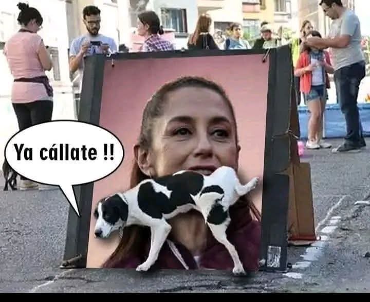 fentagame's tweet photo. @imeldacastromx @Claudiashein https://t.co/cMeotcY6t0