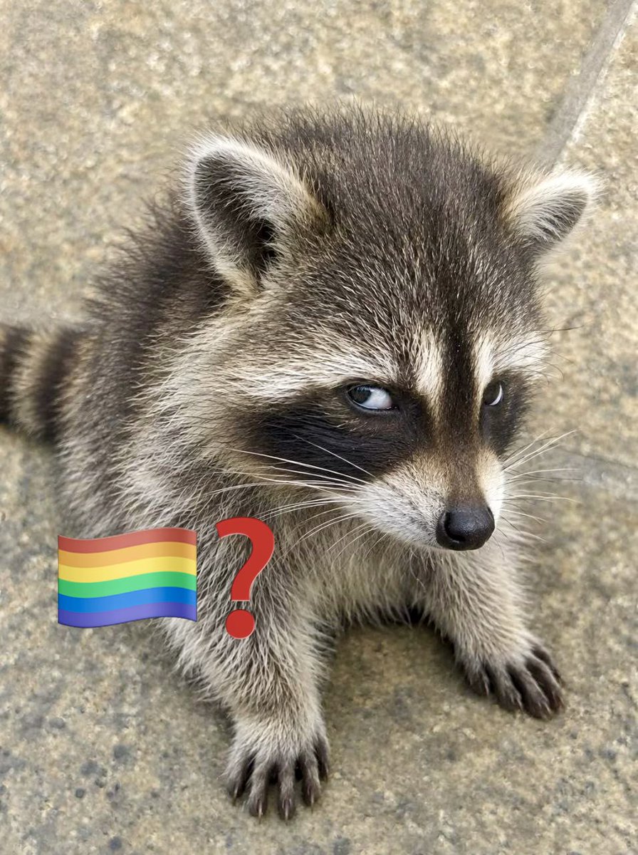 XaviersGoddess's tweet photo. 🤨 🏳️‍🌈❓ https://t.co/nxHJRFTcey