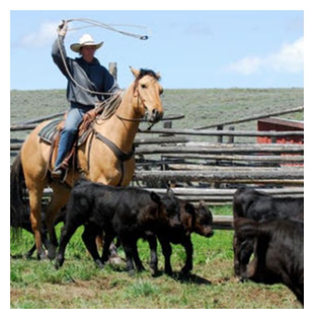 growingwyintrns's tweet photo. You CAN Farm Talks – Brett Crosby
#bfrdpwy #aginternship #RightRisk
<a href="https://t.co/IH2k7QblKd" target="_blank">
CLICK to learn more about this YCFTalks episode.</a>
ONE THING: Invest in your education.
– Brett Crosby, You CAN Farm Talks speaker https://t.co/XHDja9SIhi
