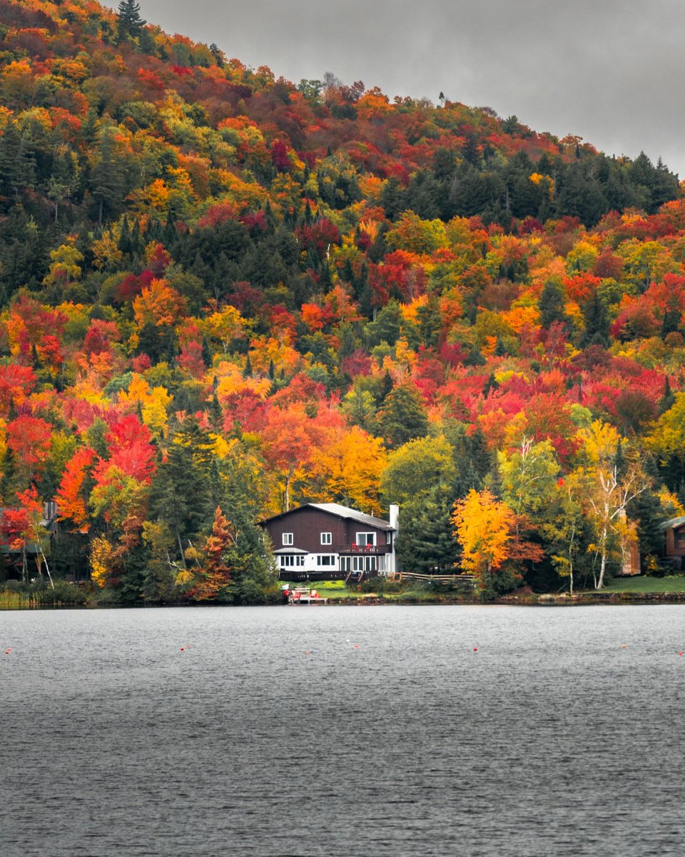 earthserenityy's tweet photo. Fall in Vermont https://t.co/WlNNQczmPP