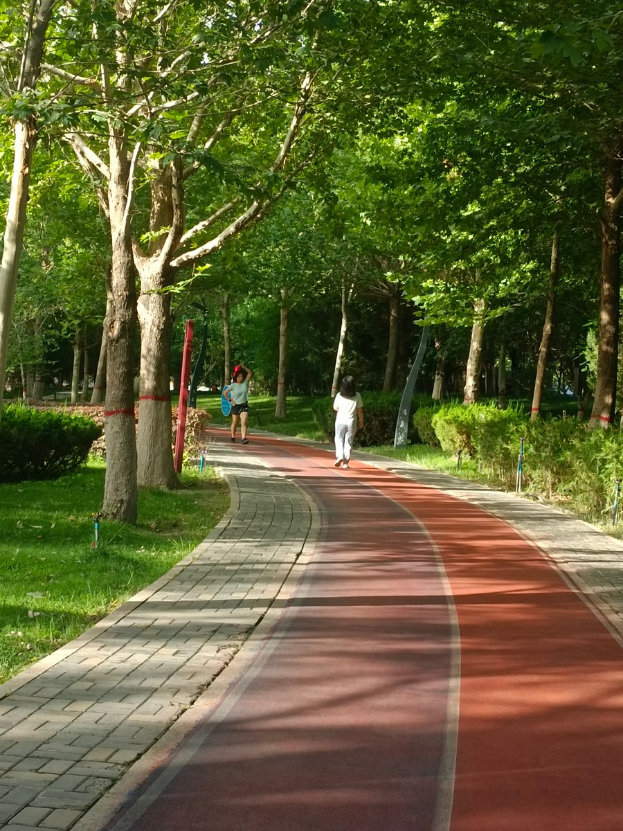 AnnieChisl1icm's tweet photo. Tu salud empieza con pequeos pasos: 30 min de caminata diaria + agua suficiente. Cuídate hoy! https://t.co/3McvK3a90F