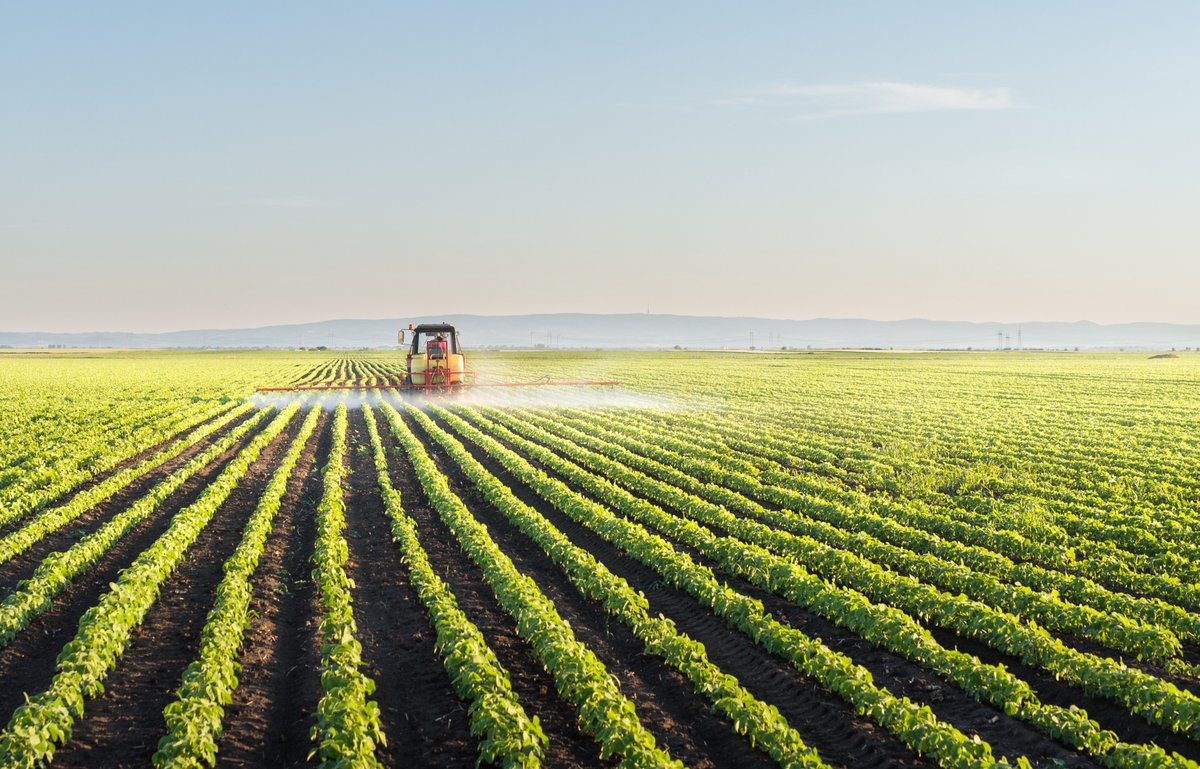 OntUniv's tweet photo. This week, we're celebrating the International Plowing Match & the vital role Ontario's universities play in advancing #ONag. Through talent, research & innovation, universities are helping strengthen rural communities & drive economic growth across the province: https://t.co/6ZFM3YbRKV #ONpse #ONpoli #PlowingMatch @nolanmquinn @TrevorJonesCKL @LisaThompsonPC
