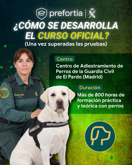 Image from Academia Prefortia (@Prefortia)