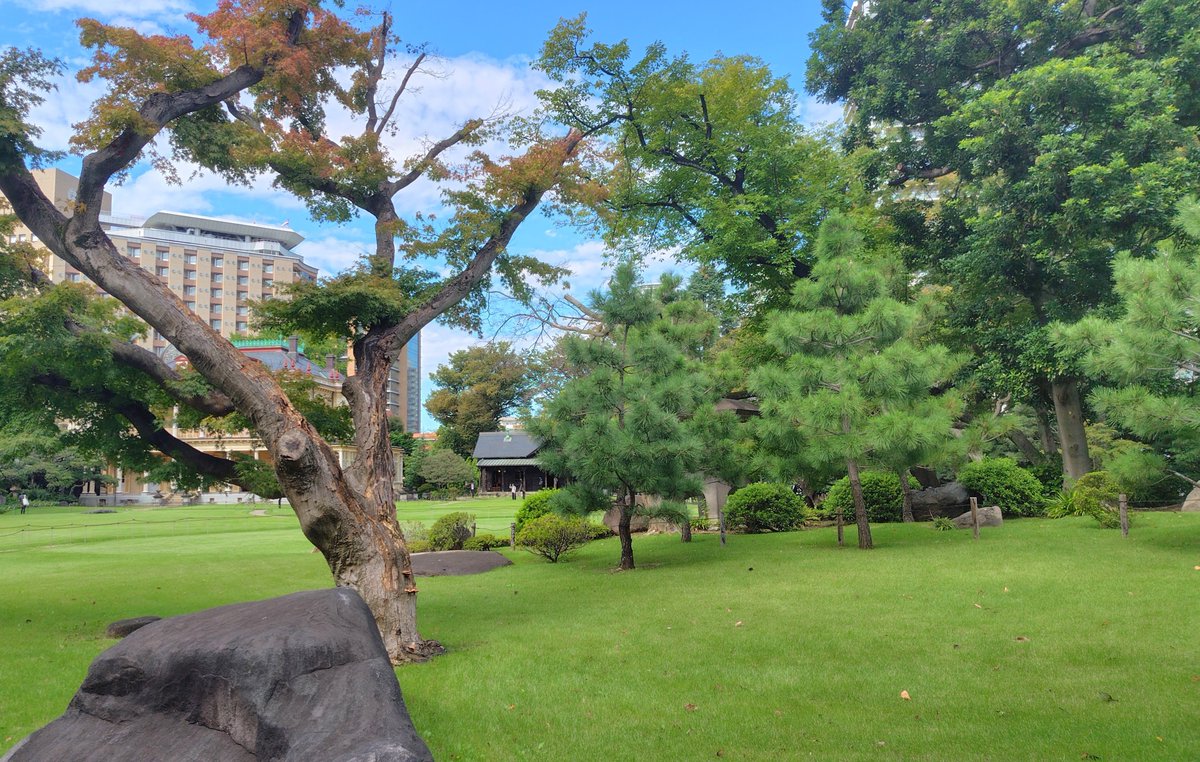 sasuke_sun_dayo's tweet photo. 湯島駅から徒歩3分の「旧岩崎邸庭園」を訪ねてきました！
三菱財閥の第3代社長、岩崎久彌氏の本邸として建てられた当庭園。主に庭園、洋館、和館、撞球室の4つで構成されており、和洋折衷の風景をめぐる小旅行を楽しめました。
お天道様も味方をしてくれて、快晴の中気持ちのよい散策ができました☀ https://t.co/cG8In06sbX