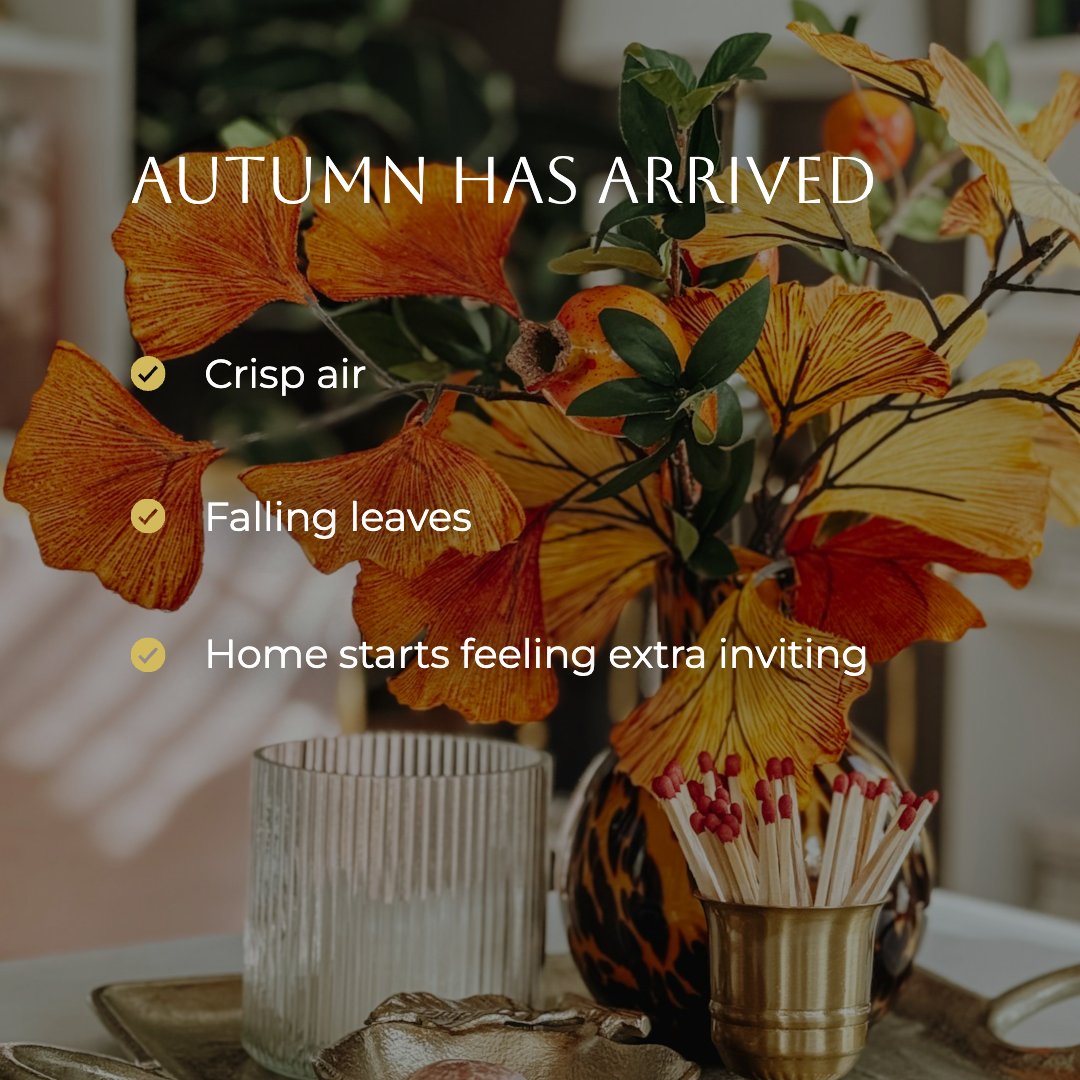 GailRealty's tweet photo. Welcome, Autumn!

🍂 Crisp mornings, falling leaves, cooler evenings, and that unmistakable feeling of wanting to slow down and stay in a little longer.

There’s something about fall that makes the simple comforts of home feel even better.

#firstsuburbanrealty https://t.co/LDJfUZC0wK