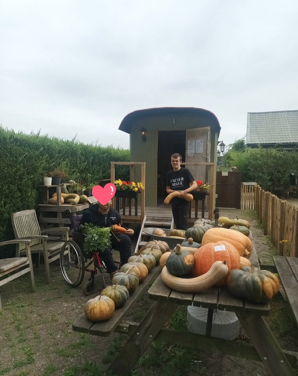 BaJoDiToCo's tweet photo. Grote oogst pompoenen dit jaar op de "Boedrij". Ze zijn er allemaal trots op!! 💛🖤 Leuk voor #Dion en collega's dat ze zien waar ze hard voor gewerkt hebben 🥰🥰 Handig voor Halloween💪🏼

💛🖤
#ZVGKind
#ZieHun https://t.co/hsN3Wud6zQ
