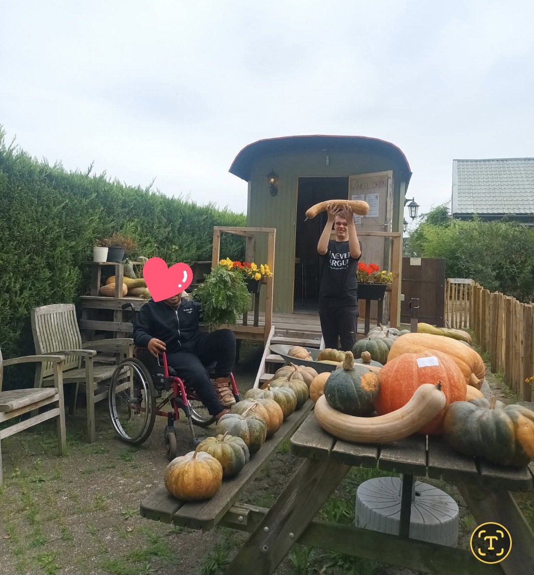 BaJoDiToCo's tweet photo. Grote oogst pompoenen dit jaar op de "Boedrij". Ze zijn er allemaal trots op!! 💛🖤 Leuk voor #Dion en collega's dat ze zien waar ze hard voor gewerkt hebben 🥰🥰 Handig voor Halloween💪🏼

💛🖤
#ZVGKind
#ZieHun https://t.co/hsN3Wud6zQ