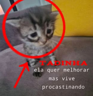acervobichinho's tweet photo. https://t.co/9oqIu8YNhR