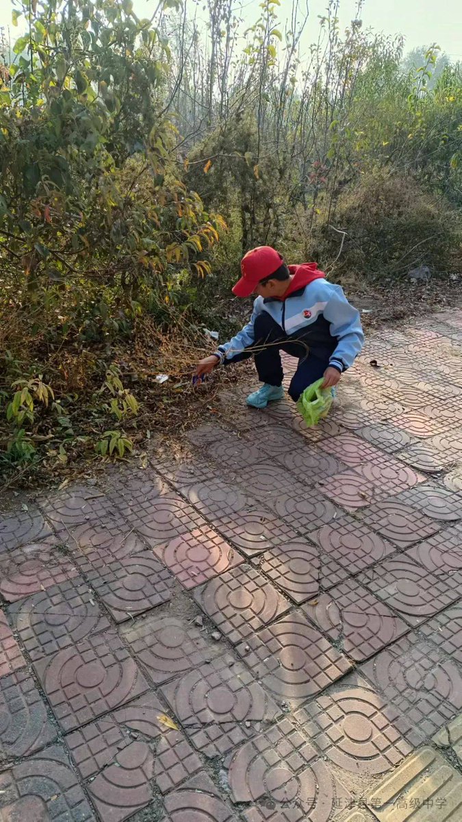 agus_primana's tweet photo. [Join our community block clean-up this Saturday (9AM-12PM) at Central Park! Gloves u0026 snacks provided. Let’s make our neighborhood shine together!]， https://t.co/rQwdqBk9Bj