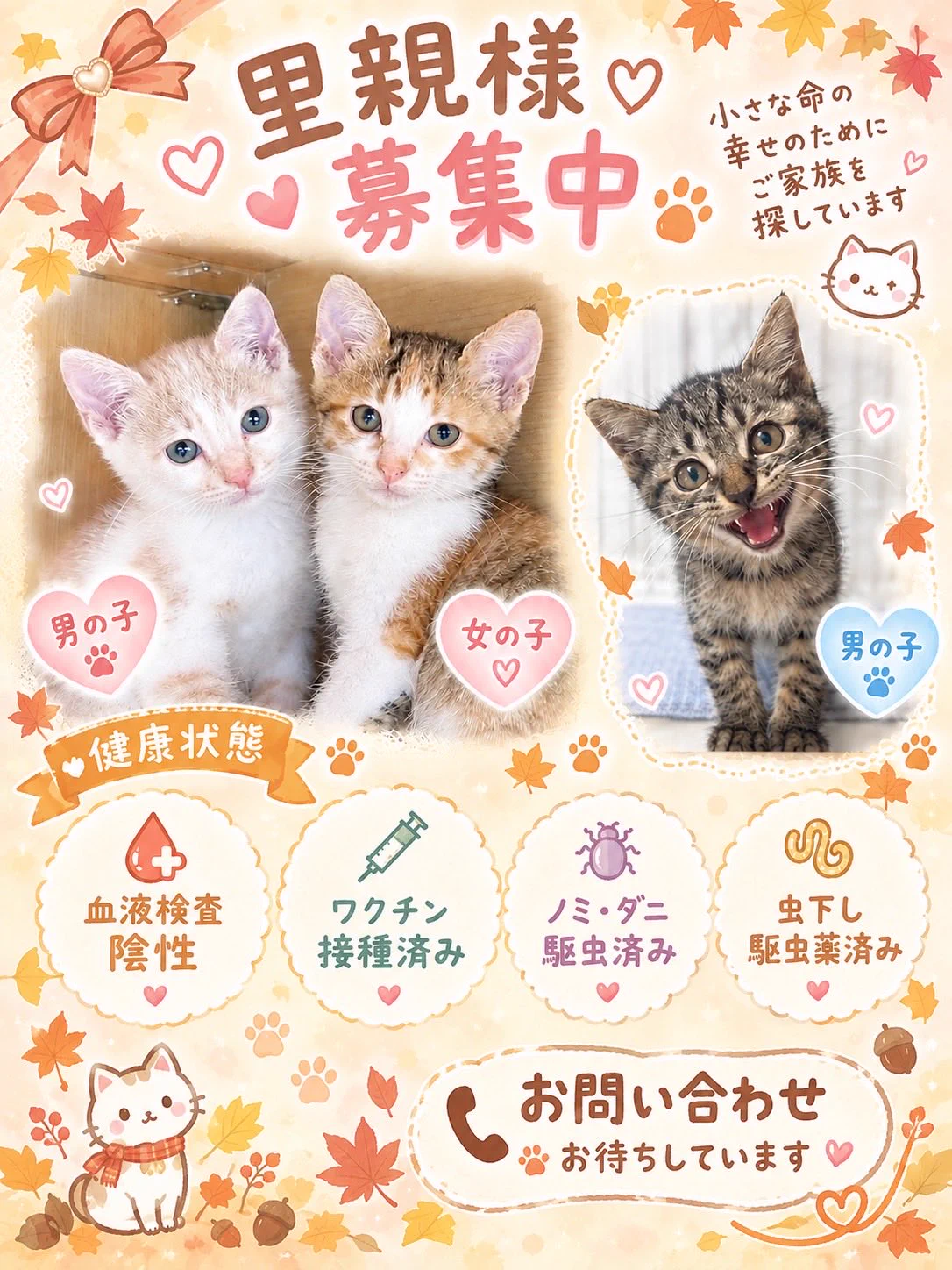 猫かふぇジュエリー(猫ママ) on X / X