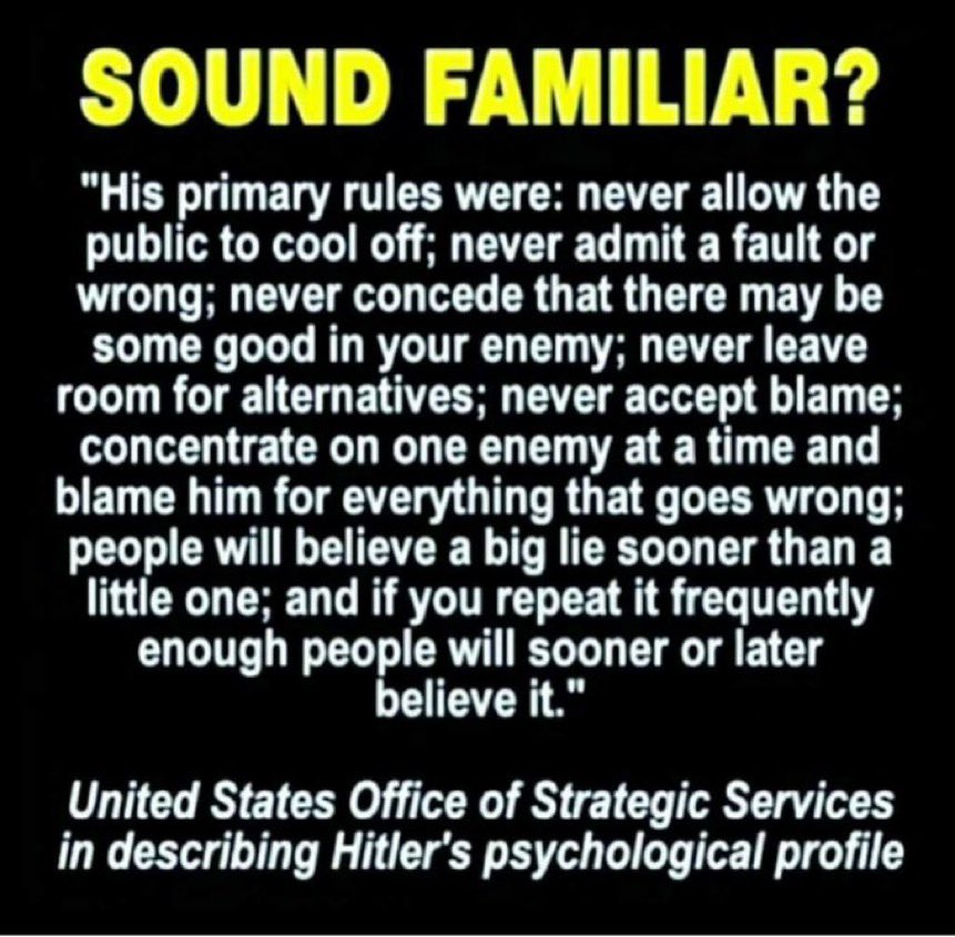 nolietees's tweet photo. All Pro Trump Propaganda? Eerily Familiar, huh? #Thepresident #TrumpTV https://t.co/47WYMJDQ6Y
