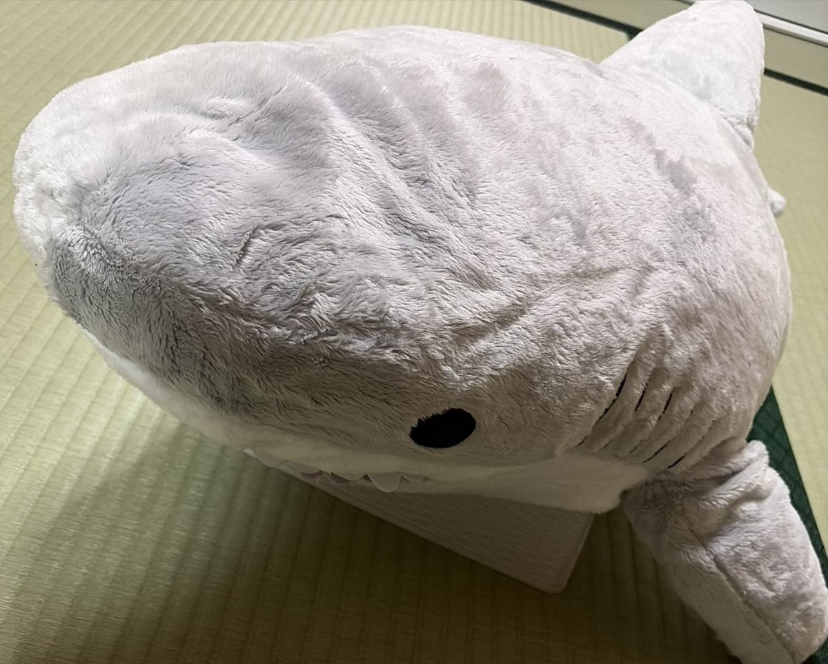 sakura39yo5's tweet photo. 家族と楽しかった！
香川。 https://t.co/iTYext1VdO