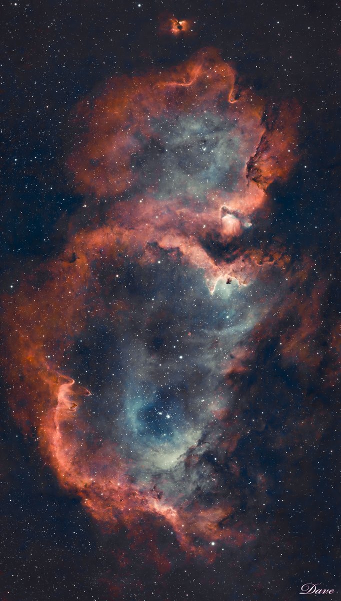 Seestar_astro's tweet photo. ✨ Seestar S50 Pro User First Light#2——Meet DaveVisualArt 🌌

What happens when the Seestar S50 Pro meets the S50 under the same night sky?

For his first light with the S50 Pro, Dave pointed both telescopes at the Soul Nebula.

Here’s his experience:

“I decided to give the S50 Pro its first light on the Soul Nebula, using it alongside my original Seestar S50. I thought it would be a great opportunity to put both telescopes to work together and see what I could achieve with them.

For this image, I captured 1,706 × 30-second exposures with the S50 Pro and 2,866 × 20-second exposures with the S50 in mosaic mode, for a total of 4,572 frames and just over 30 hours of integration time. Both telescopes have only 50 mm of aperture, which makes the result even more exciting to me.

I’ve really enjoyed using the S50 Pro so far. I’m especially delighted with its new capabilities, particularly the 4K sensor, which allows me to capture a wider field of view when photographing larger nebulae without having to use mosaic mode.

Being able to work with both Seestars in tandem has also given me a great opportunity to collect more data and bring out more detail in the final image.

It’s been a very enjoyable experience, and I’m looking forward to exploring more targets with the S50 Pro.”

Would you try a dual-Seestar setup like this? 👇

#Seestar #SeestarS50Pro #FirstLight #SoulNebula #Astrophotography #DeepSky #SmartTelescope #Astronomy