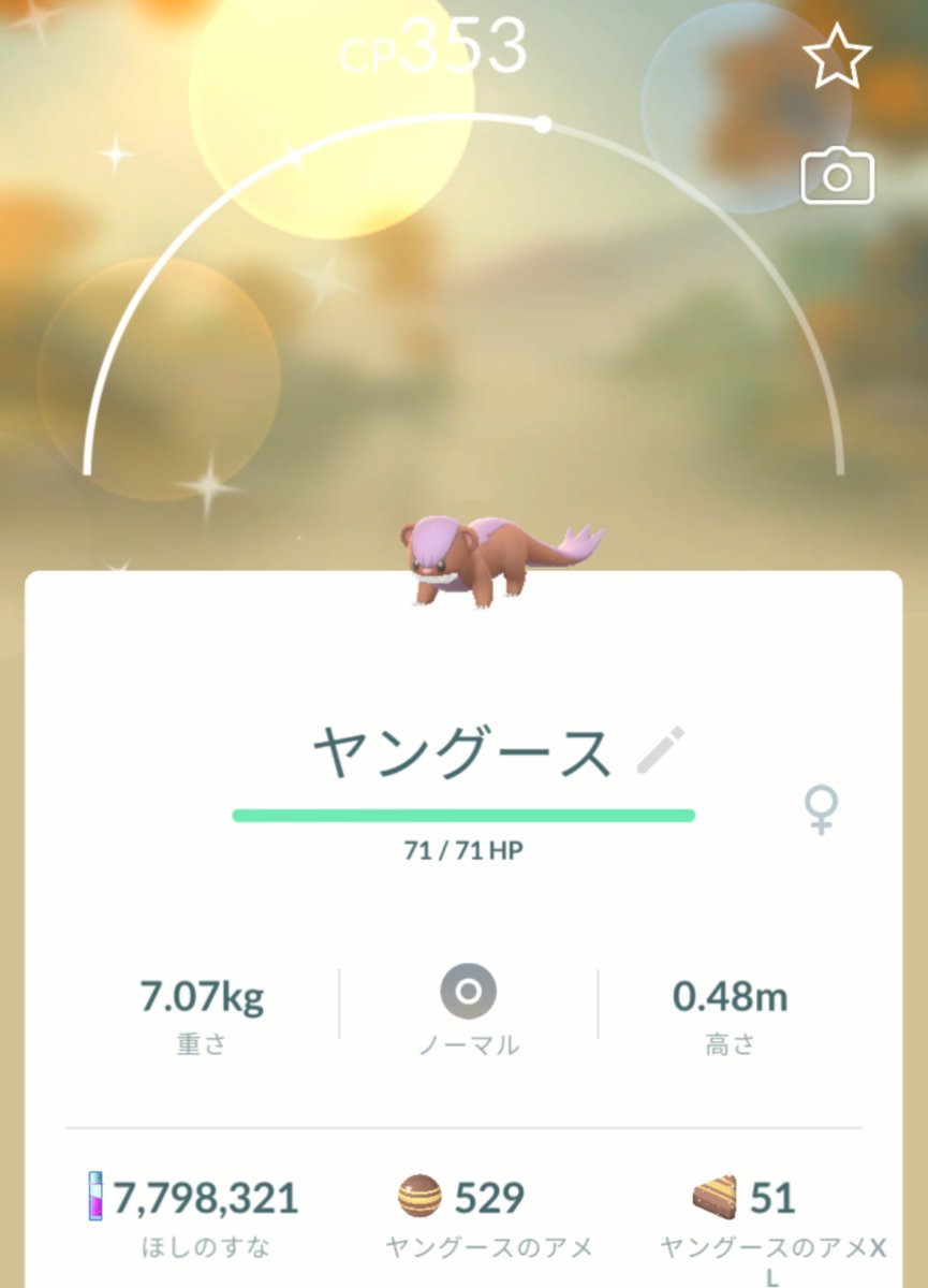 84fcw's tweet photo. 今日もゴプラさんが仕事してくれました✨
結局キャップピカチュウの色違いには出会えませんでした😭
#ポケモンGO #色違い #ヤングース https://t.co/nuDwVu5rOI