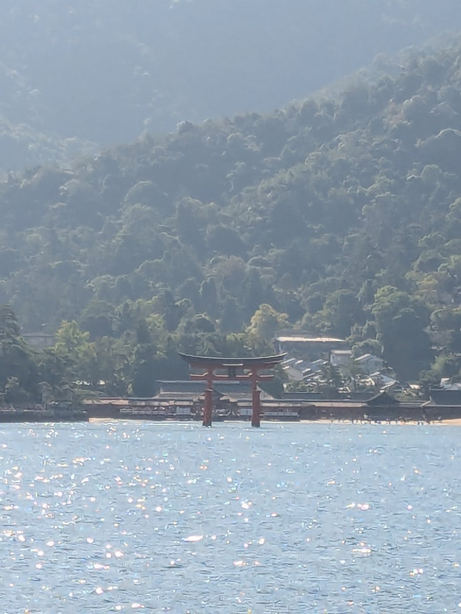 shao_hei's tweet photo. 今日は⋯前から行きたかった厳島神社に行ってきた⸜( ॑꒳ ॑ )⸝6時に起きて早めに参拝に行ったんだけど、潮の香りがする朱色の寝殿造が本当に趣あって素晴らしかった！ https://t.co/W6WqtUQSSr