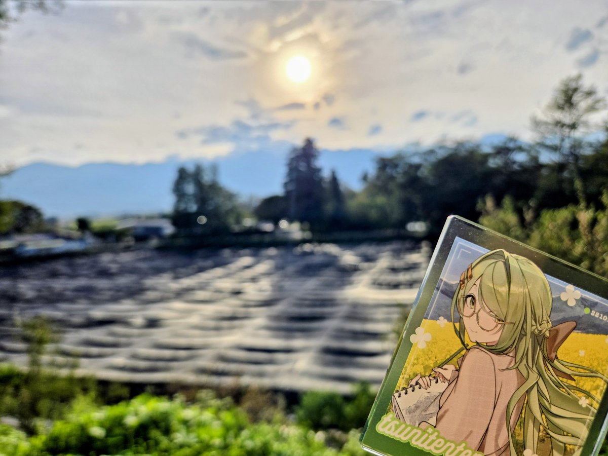 mekuzou tweet picture