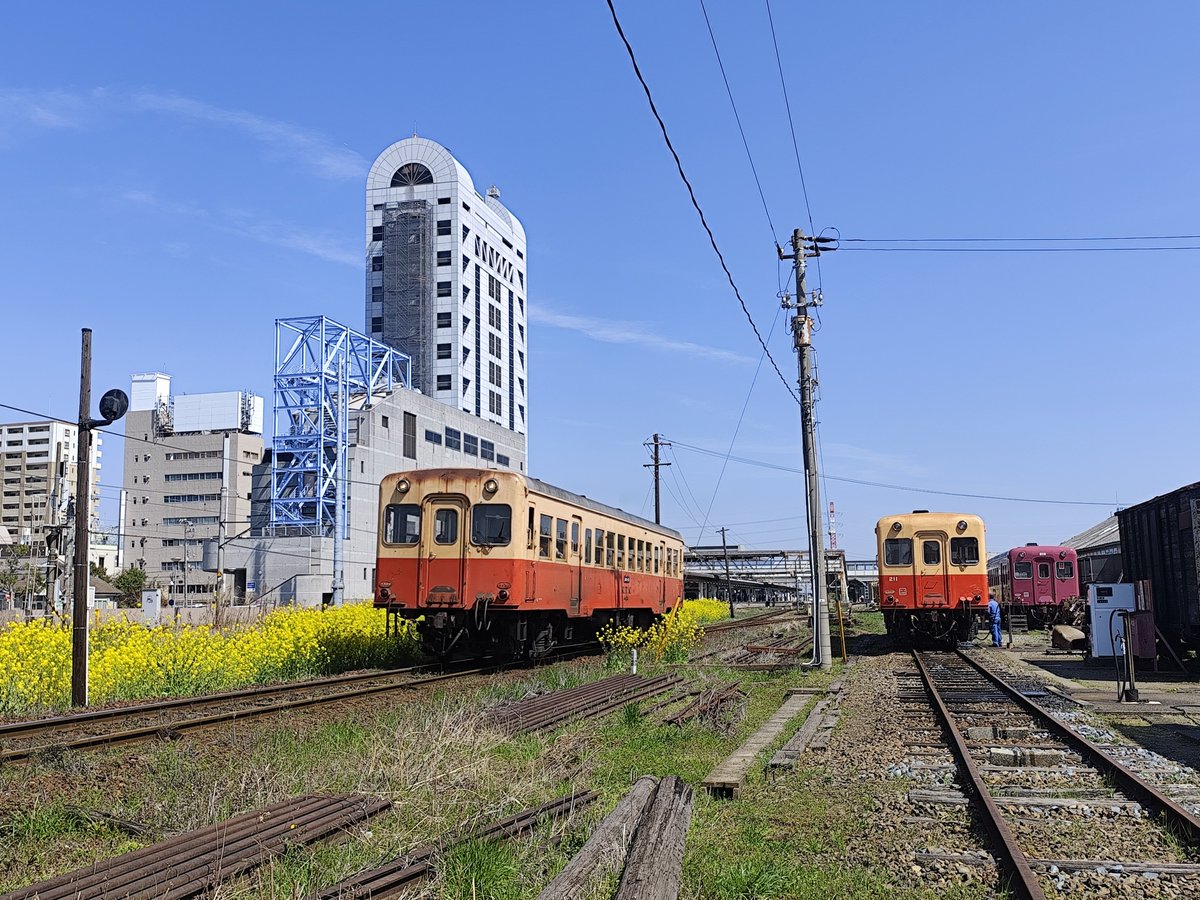 uchibou_LOTTE_0's tweet photo. かなりの反響を頂いてるようでとてもありがたいのですが市原市民の私からお願いがあります。
ぜひ小湊鐵道に乗って"小湊"を支援して頂きたいです。
"小湊"は市原の大事な足であり観光資源です。
大切な鉄道を守るためには皆さんの支援が必要です。
ぜひ乗って支援してください。お願いします。 https://t.co/QJLYobLLJZ