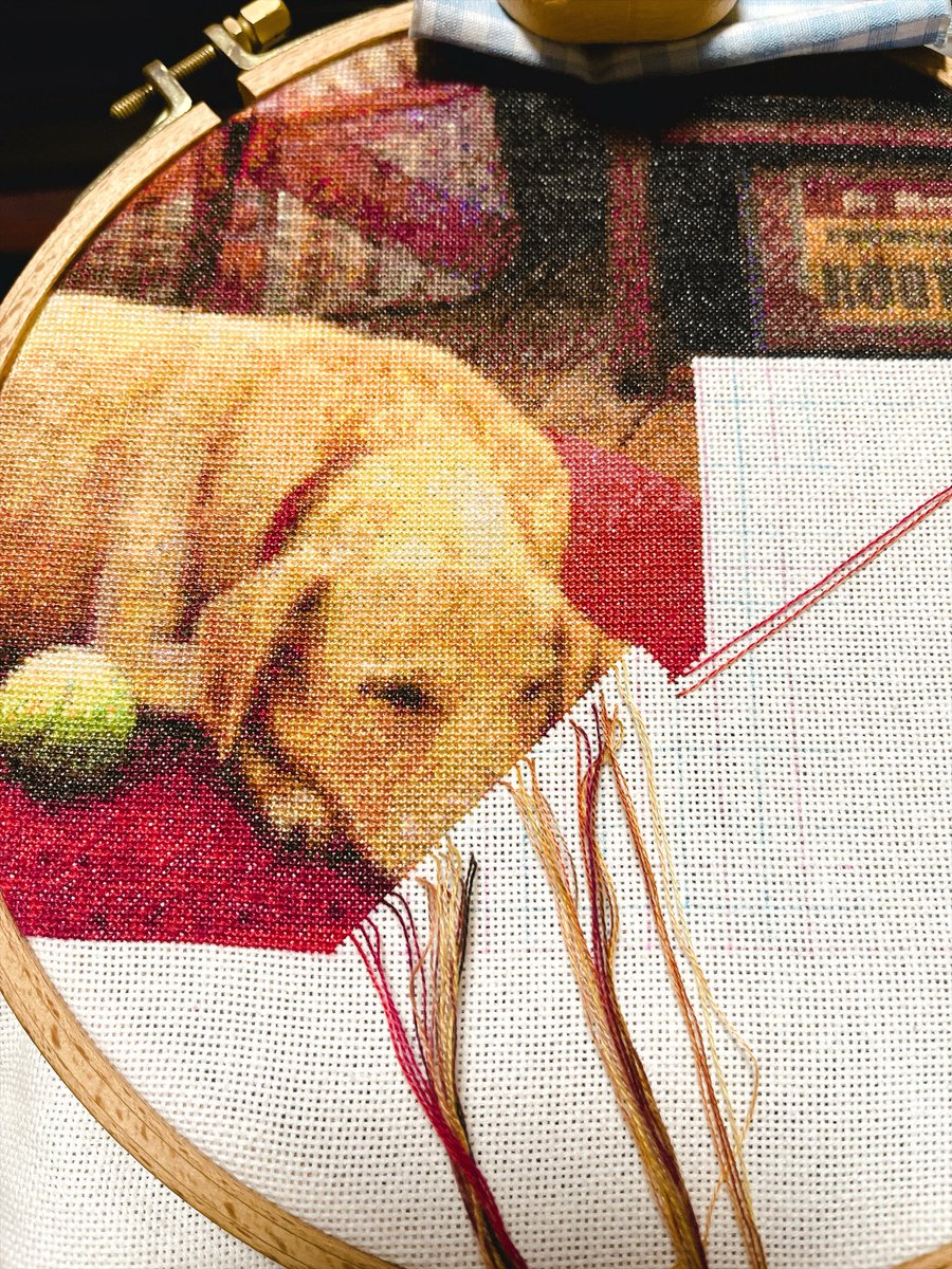 toraCrossStitch's tweet photo. 🐶597日目🐶

『Leroy’s Decoys』25ct  88色
650w × 465h    66 × 47cm 
【Page 39】 24/45枚

#クロスステッチ
#HAED https://t.co/Om5EcMGZYr