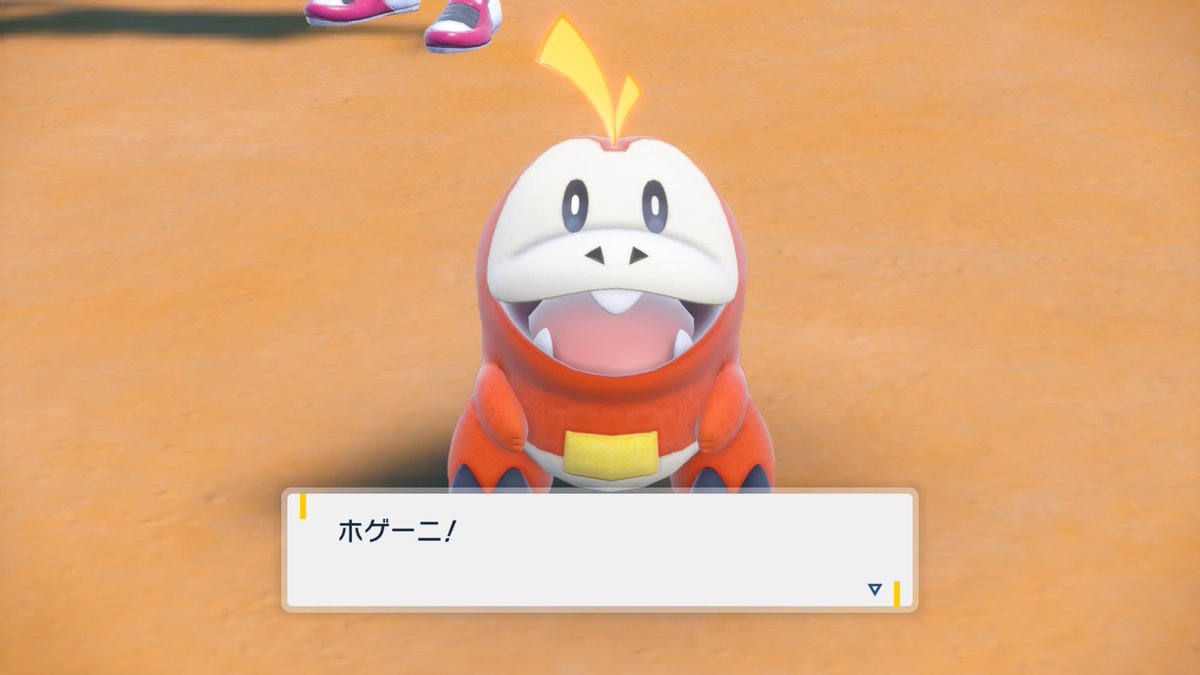 7run____'s tweet photo. ホゲータさん選んだよ〜！！！ https://t.co/5QtxhvvnVz