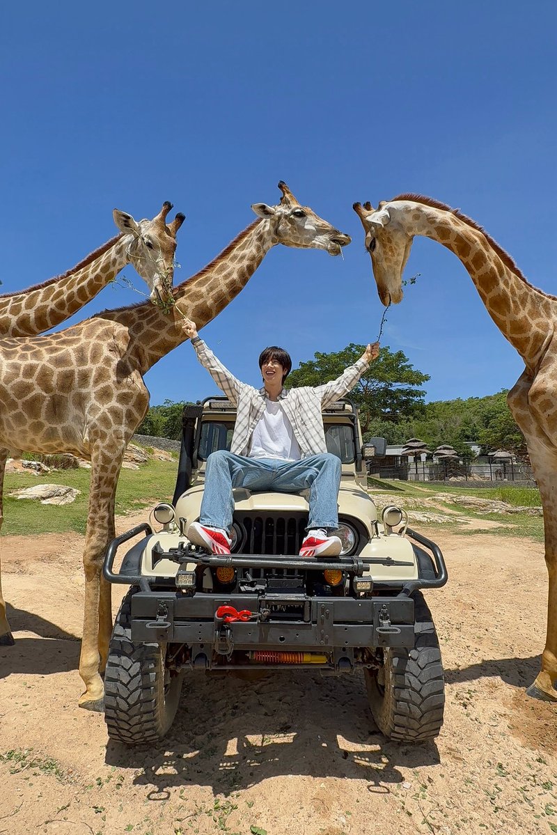 FThanatsarun's tweet photo. อะไรน่ารักกว่ากันน 🐯🦧
#frankthanatsaran https://t.co/GZVj769nGY