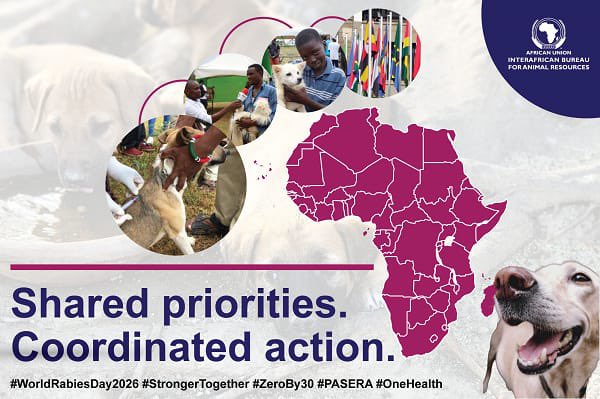 au_ibar's tweet photo. One continent. One framework. Zero by 30. PASERA 2026–2030 unites Africa to end human deaths from dog-mediated rabies by 2030.
https://t.co/IJ77qdOcHC
#WorldRabiesDay26 #StrongerTogether #ZeroBy30 #PASERA https://t.co/B4L59Ph9Jv