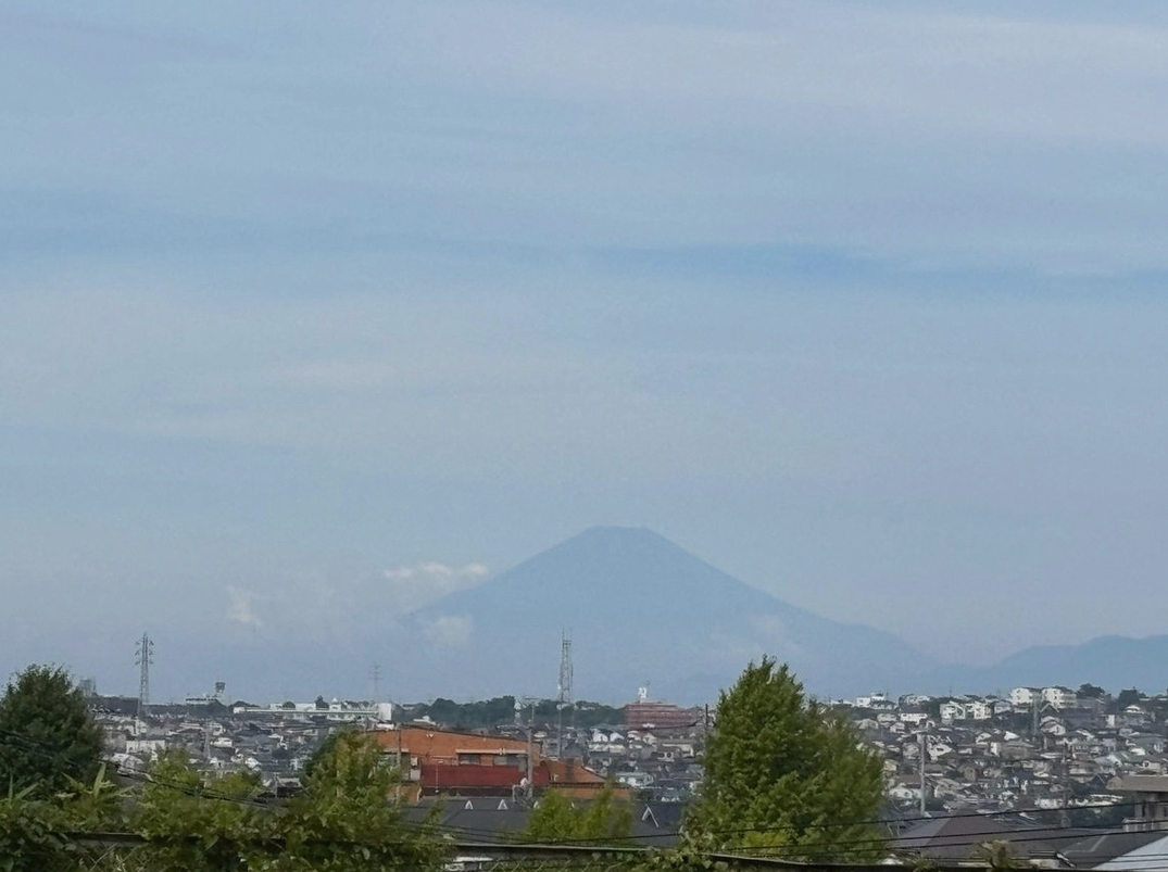 josyifamp's tweet photo. 夜のウォーキングだけじゃお腹が凹まなくなった(´･ω･`)
明らかに下半身の筋力が弱いのじゃ(´･ω･`) https://t.co/y3qa7yIbMY