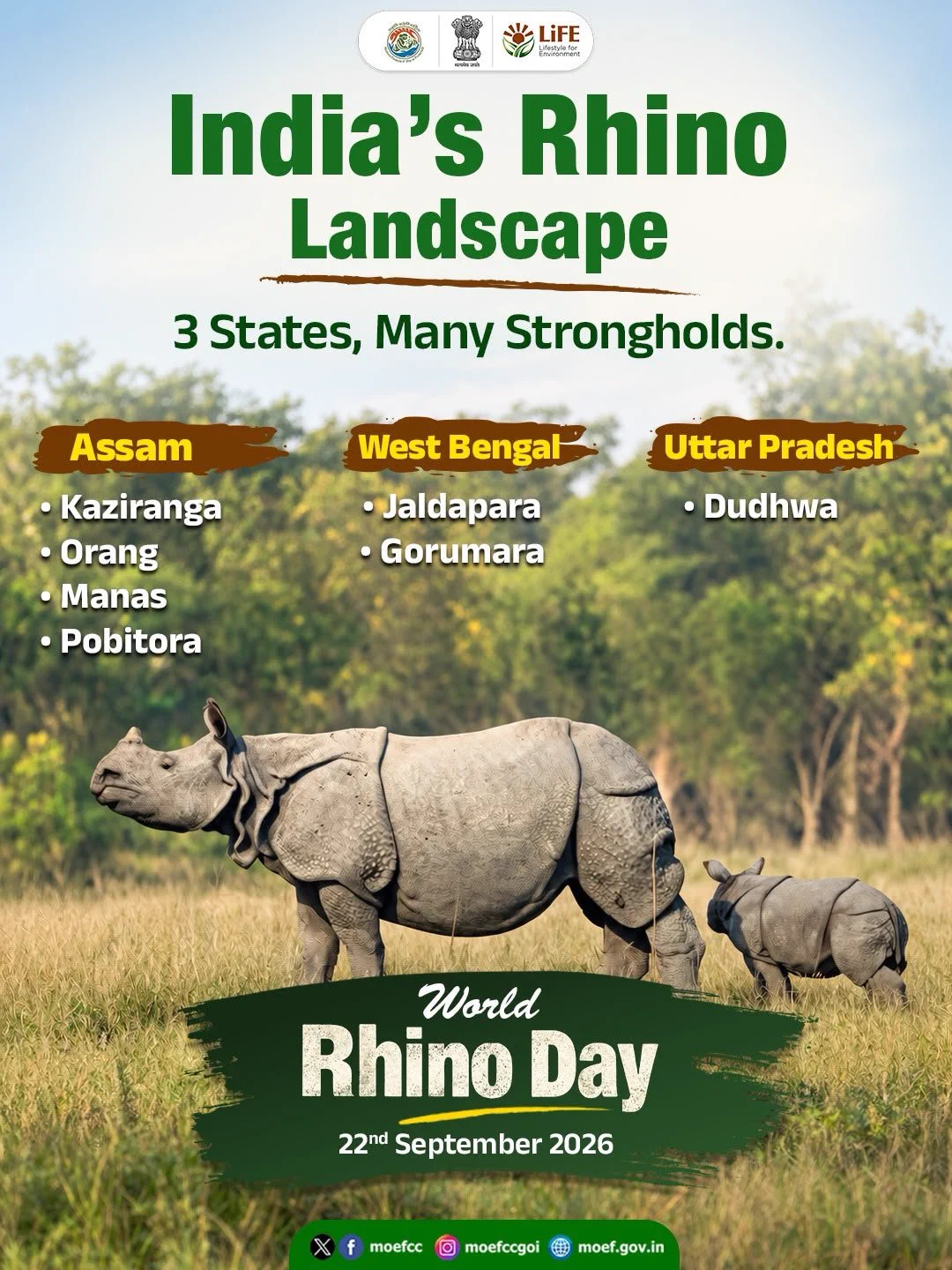 Project Rhino