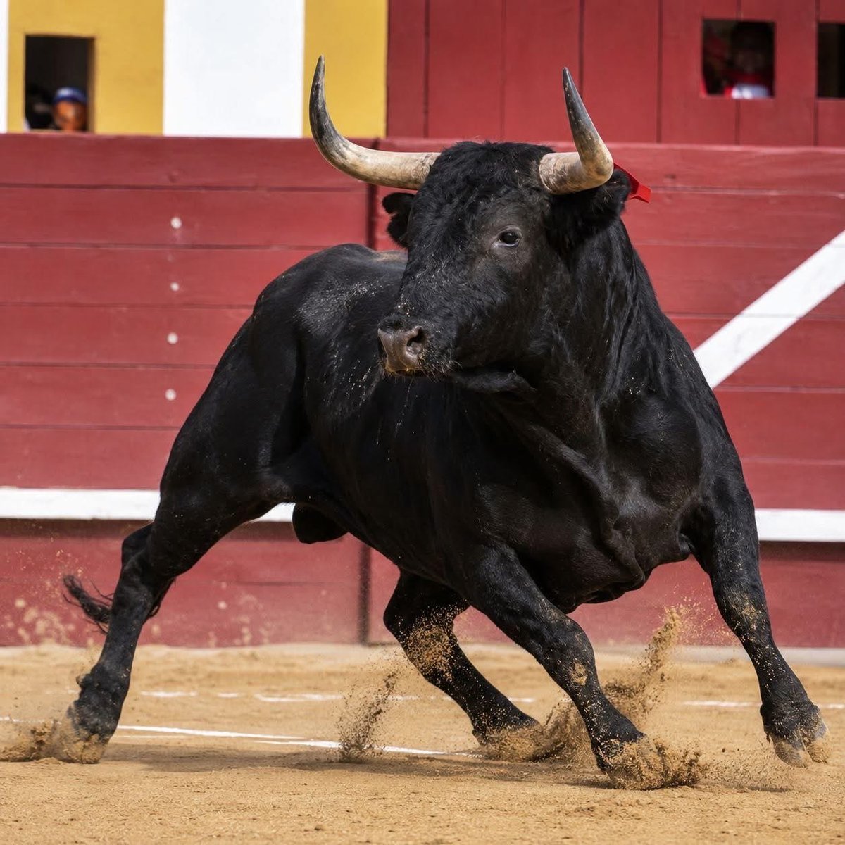 AnaMari5153's tweet photo. @sanchezcastejon Un buen torero sabe más que un judio o un moro https://t.co/7ZX7LPsKwt