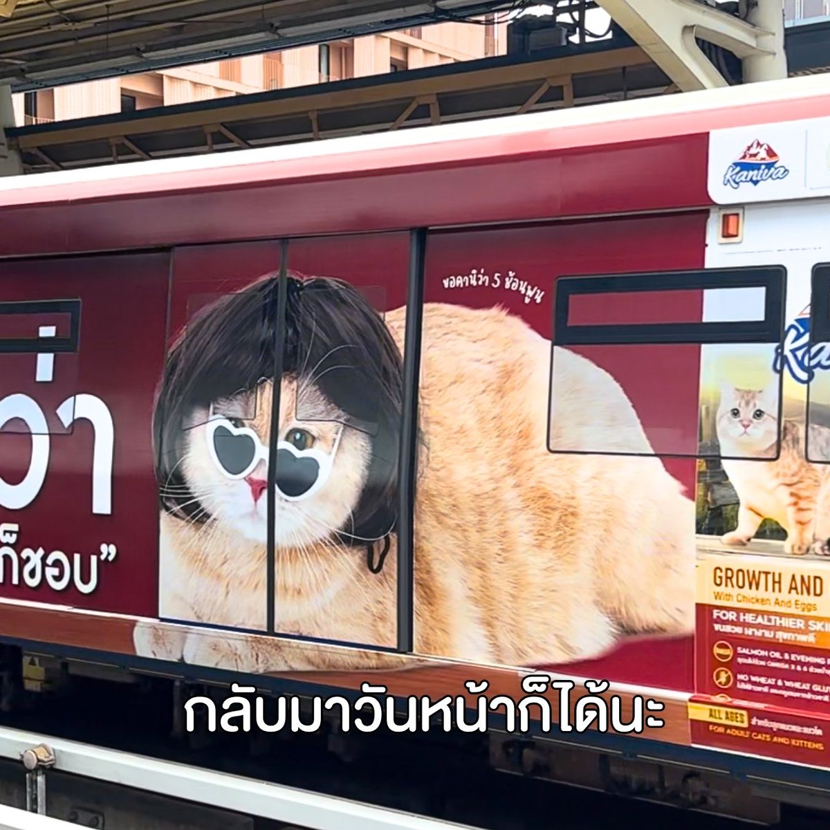KanivaOfficial's tweet photo. ถ้าวันนี้ไม่เห็นค่า กลับมาวันหน้าก็ได้นะ... 👉🏻👈🏻🐱
@jengtieow
#Kaniva #คานิว่า #อาหารแมวคานิว่า #ถูกใจคนรู้ใจแมว https://t.co/HqSZHHv66V